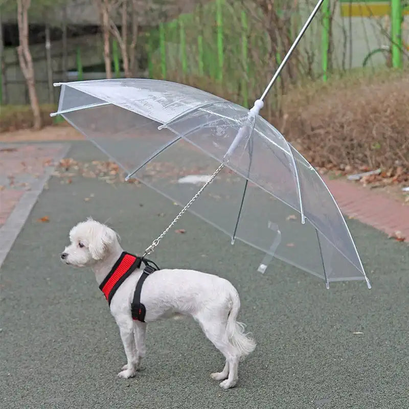 Trela de guarda-chuva para animais de estimação