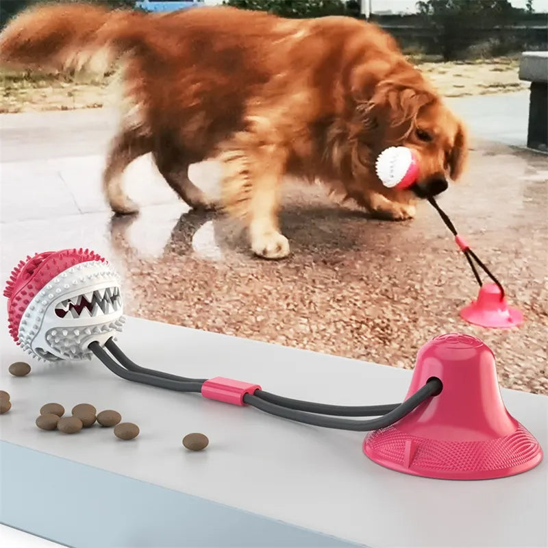 Brinquedo interativo para cães com bola de sucção