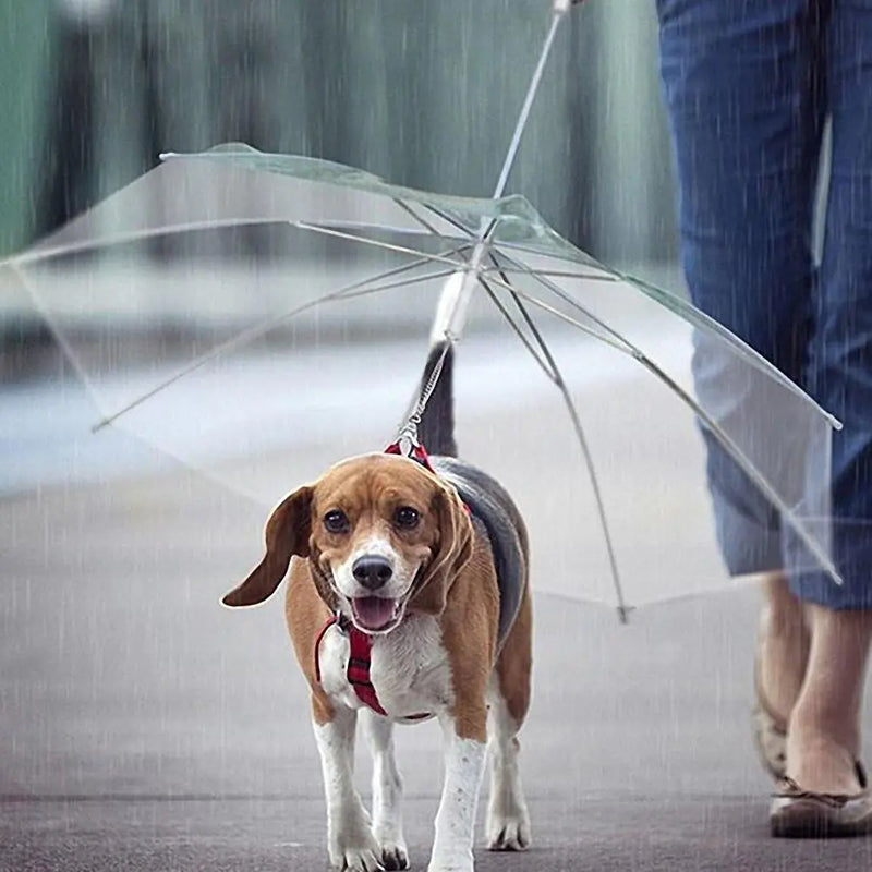 Trela de guarda-chuva para animais de estimação