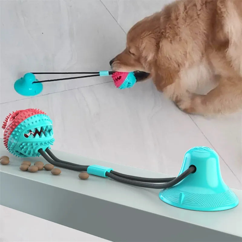 Brinquedo interativo para cães com bola de sucção